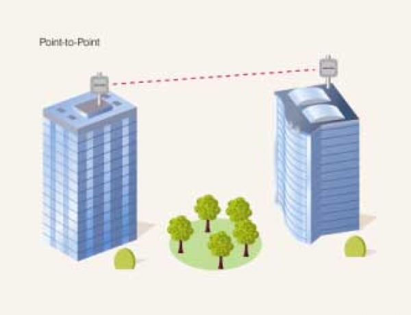 ارتباط دفاتر و شعب سازمان ها