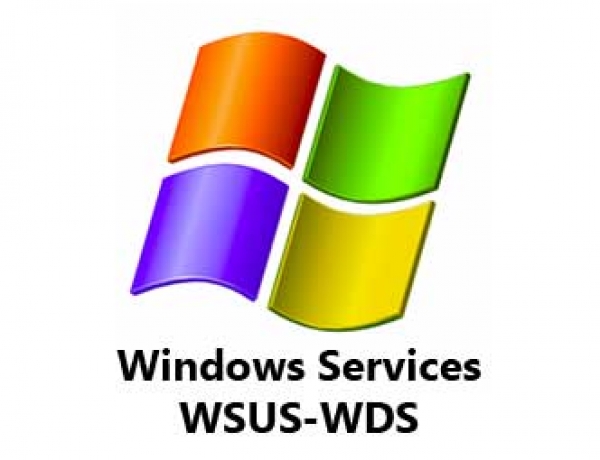 سایر سرویس های شبکه